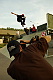 Radek Bilek The Park Skateboarding 2006